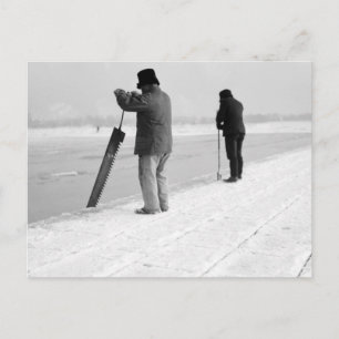 Postal Cosecha de hielo, 1903
