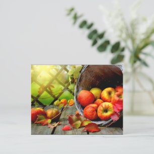 Postal Cosecha de manzanas