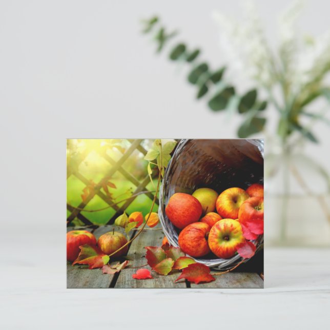 Postal Cosecha de manzanas (Anverso de pie)