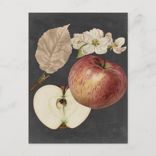 Postal Cosecha de medianoche II (Anverso)