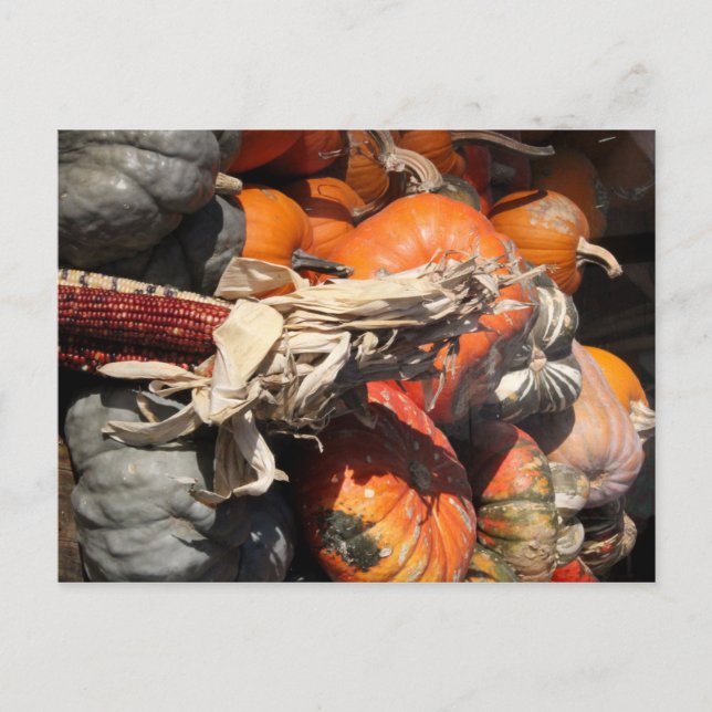 Postal Cosecha de otoño (Anverso)