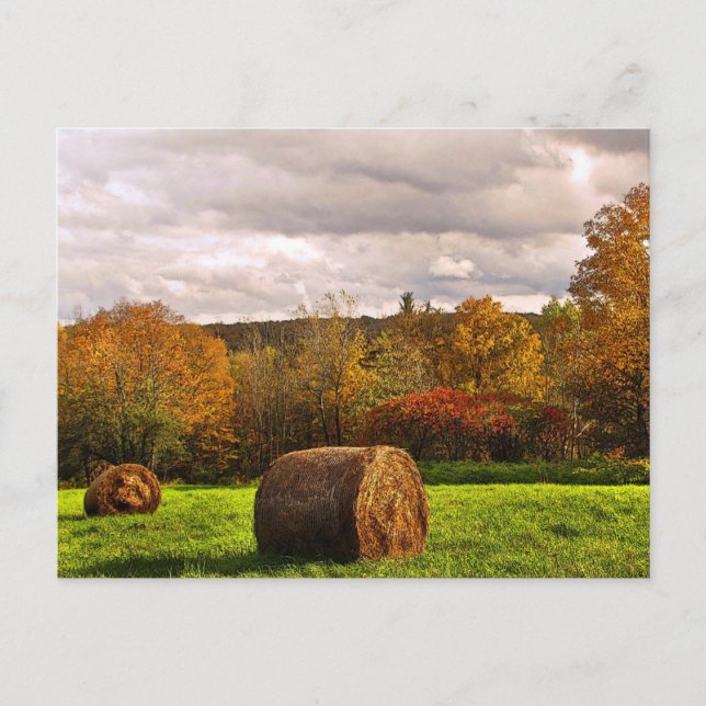 Postal Cosecha de otoño (Anverso)