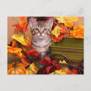 Postal Cosecha de otoño