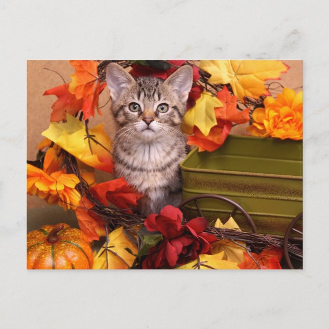 Postal Cosecha de otoño (Anverso)