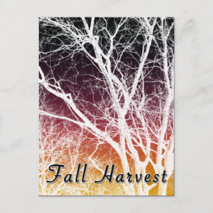 Postal cosecha de otoño : árbol fantasma