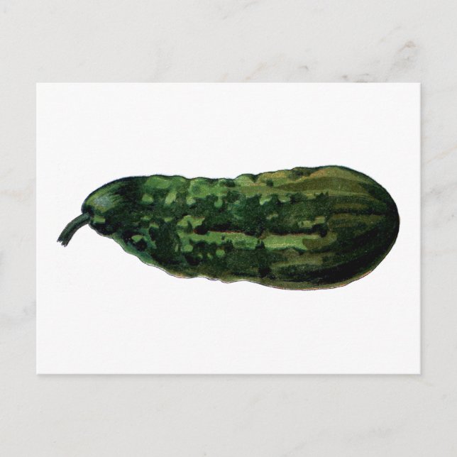 Postal cosecha de pepino (Anverso)