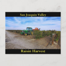Cosecha de Raisin del Valle de San Joaquín