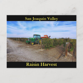Postal Cosecha de Raisin del Valle de San Joaquín