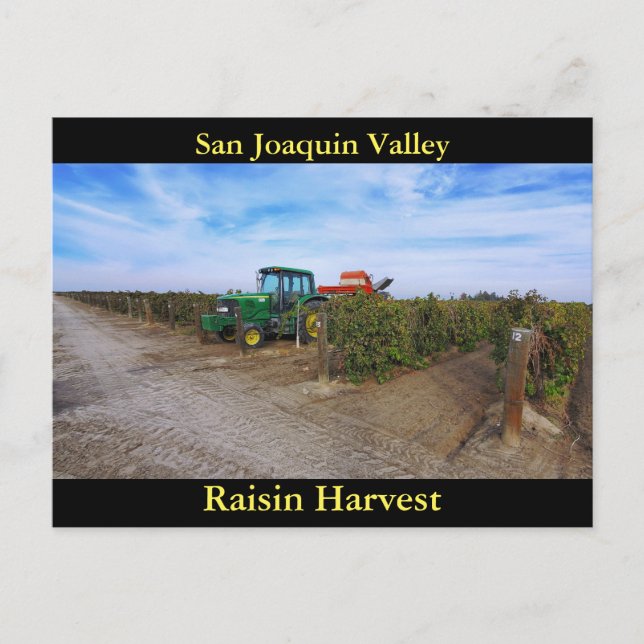 Postal Cosecha de Raisin del Valle de San Joaquín (Anverso)