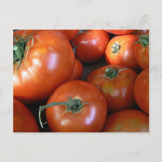 Postal Cosecha de tomate