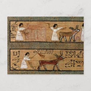 Postal Coser y arar, detallar una representación