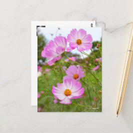 Postal Cosmos ポストカード