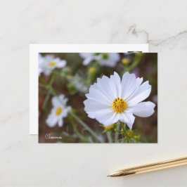 Postal Cosmos ポストカード