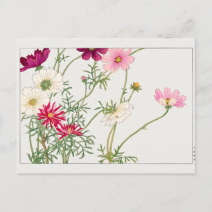 Postal Cosmos de Tanigami Konan