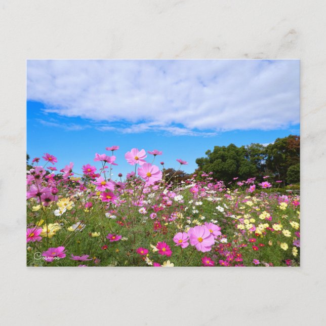 Postal Cosmos [postal] (Anverso)