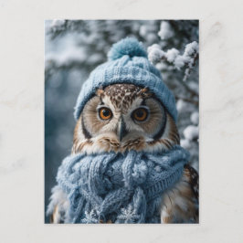 Postal Cosmoso y caprichoso invierno Wonderland Owl