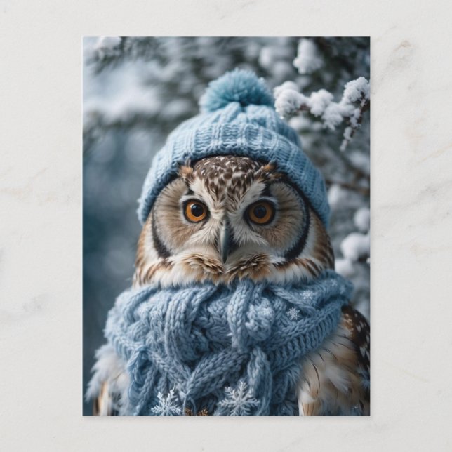 Postal Cosmoso y caprichoso invierno Wonderland Owl (Anverso)