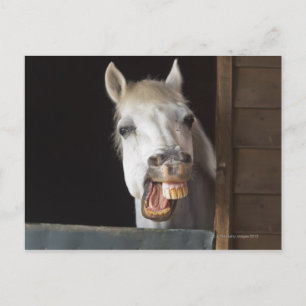Postal costa de benalamadena, malaga, costa del sol,