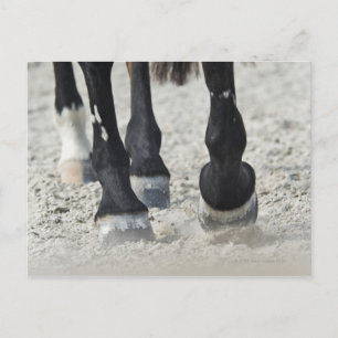 Postal costa de benalamadena, malaga, costa del sol, 2