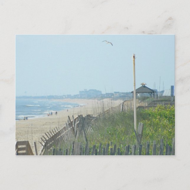 Postal Costa de Duck North Carolina (Anverso)