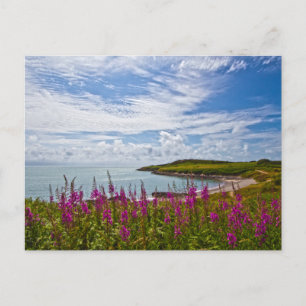 Postal Costa de Gales del Norte