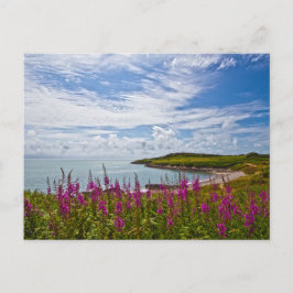 Postal Costa de Gales del Norte