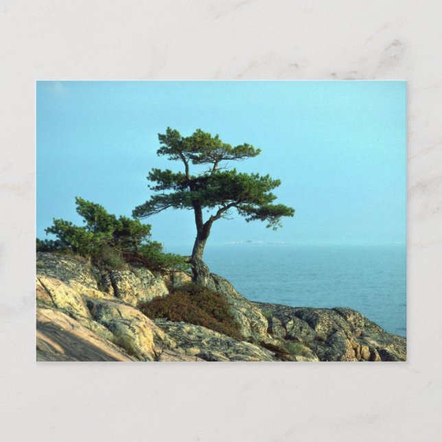 Postal Costa de la Bahía Georgiana, Lago Huron, Ontario,  (Anverso)