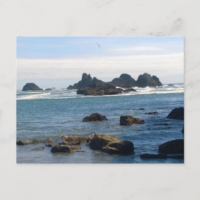 Postal Costa de la Roca del Seal en Oregón (Anverso)