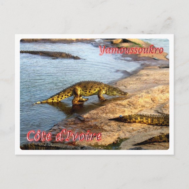 Postal Costa de Marfil - Yamoussoukro - (Anverso)