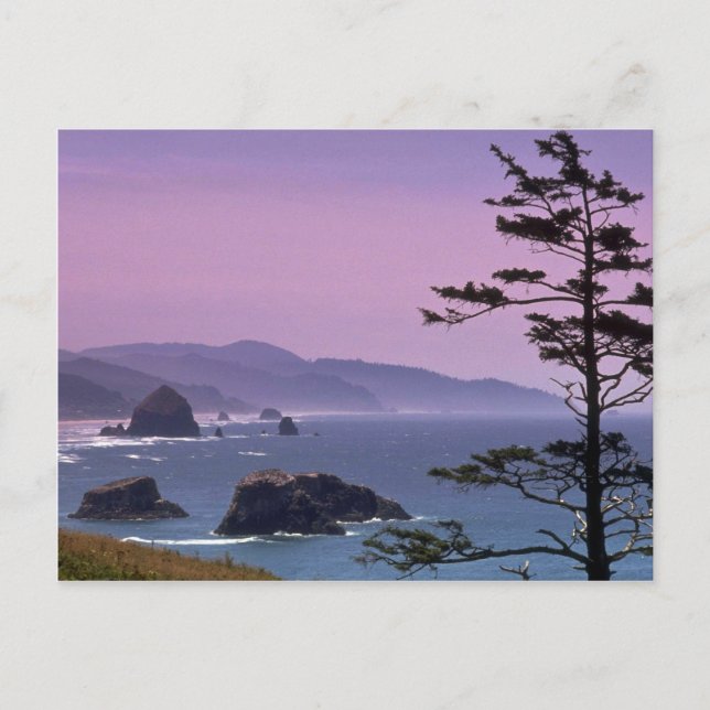 Postal Costa de Oregón, Parque Estatal Ecola, Oregon (Anverso)