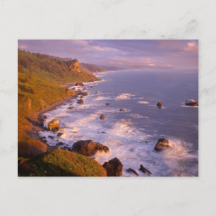 Postal Costa de Redwoods, California