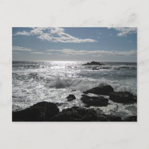 Postal Costa de Sonoma, Bodega, Ca. Blank