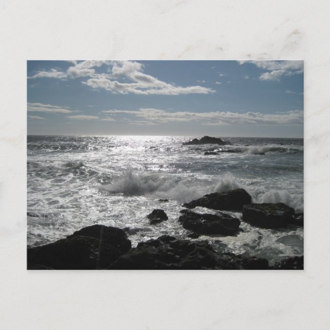 Postal Costa de Sonoma, Bodega, Ca. Blank (Anverso)