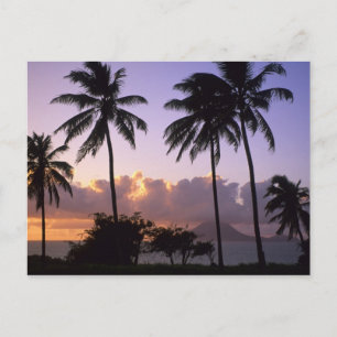 Postal Costa de St. Kitts