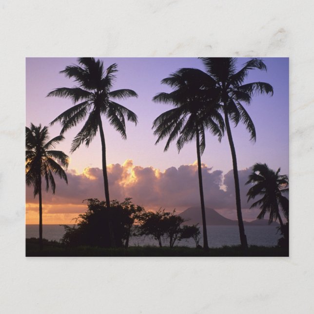 Postal Costa de St. Kitts (Anverso)