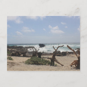 Postal Costa Este de Cozumel