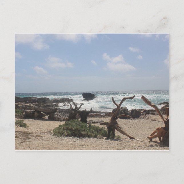 Postal Costa Este de Cozumel (Anverso)