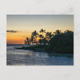 Postal Costa litoral pintoresca de Naples, Florida,