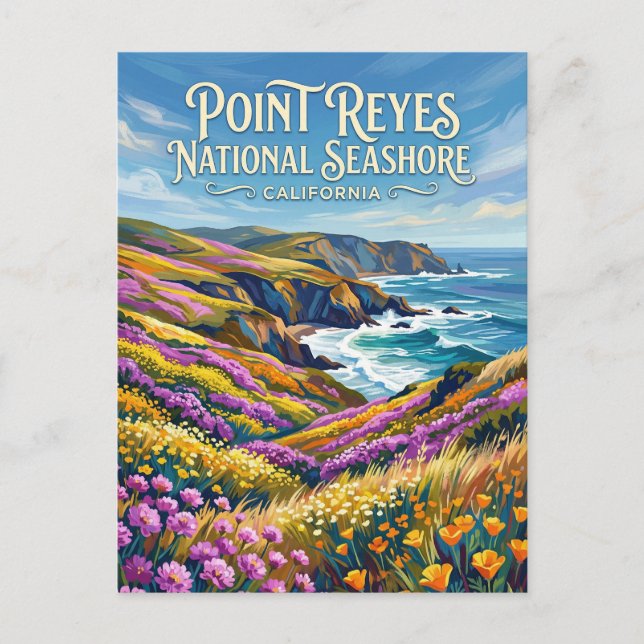 Postal Costa Nacional Point Reyes California (Anverso)