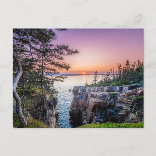 Postal Costa | Nido de Cuervos Parque Nacional Acadia Mai (Anverso)