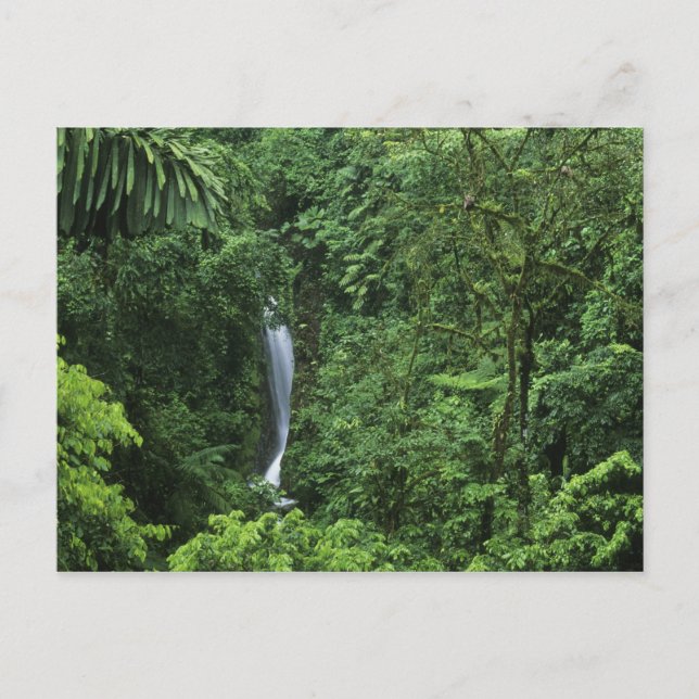 Postal Costa Rica, área del volcán Arenal, puentes colgan (Anverso)