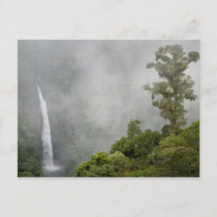 Postal Costa Rica, bosque nuboso en montañas cerca de La