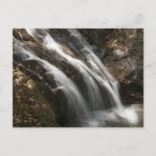 Postal Costa Rica, cascada rápida