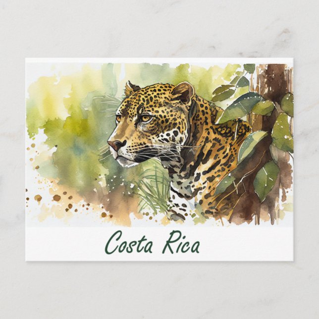 Postal Costa Rica Jaguar (Anverso)