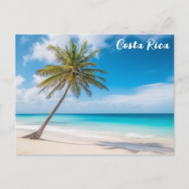 Postal Costa Rica Tropical Beach Palm Tree Travel (Anverso)