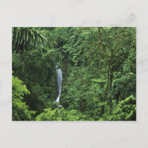 Postal Costa Rica, zona del volcán Arenal, puentes colgan