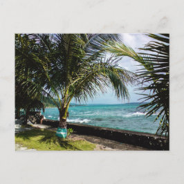 Postal Costa rocosa de palmeras de coco olas de la playa