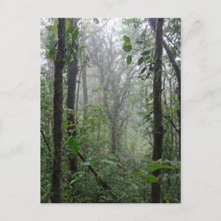 Postal costa salvaje