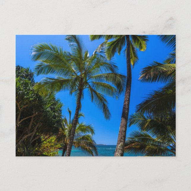 Postal Costa tropical 2 (Anverso)