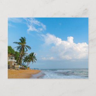 Postal Costa tropical de playa y palmeras vista al océano